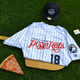 Illustration for article titled Italian Heritage Group Manages To Get Offended By Minor League Pizza Rats Promotion